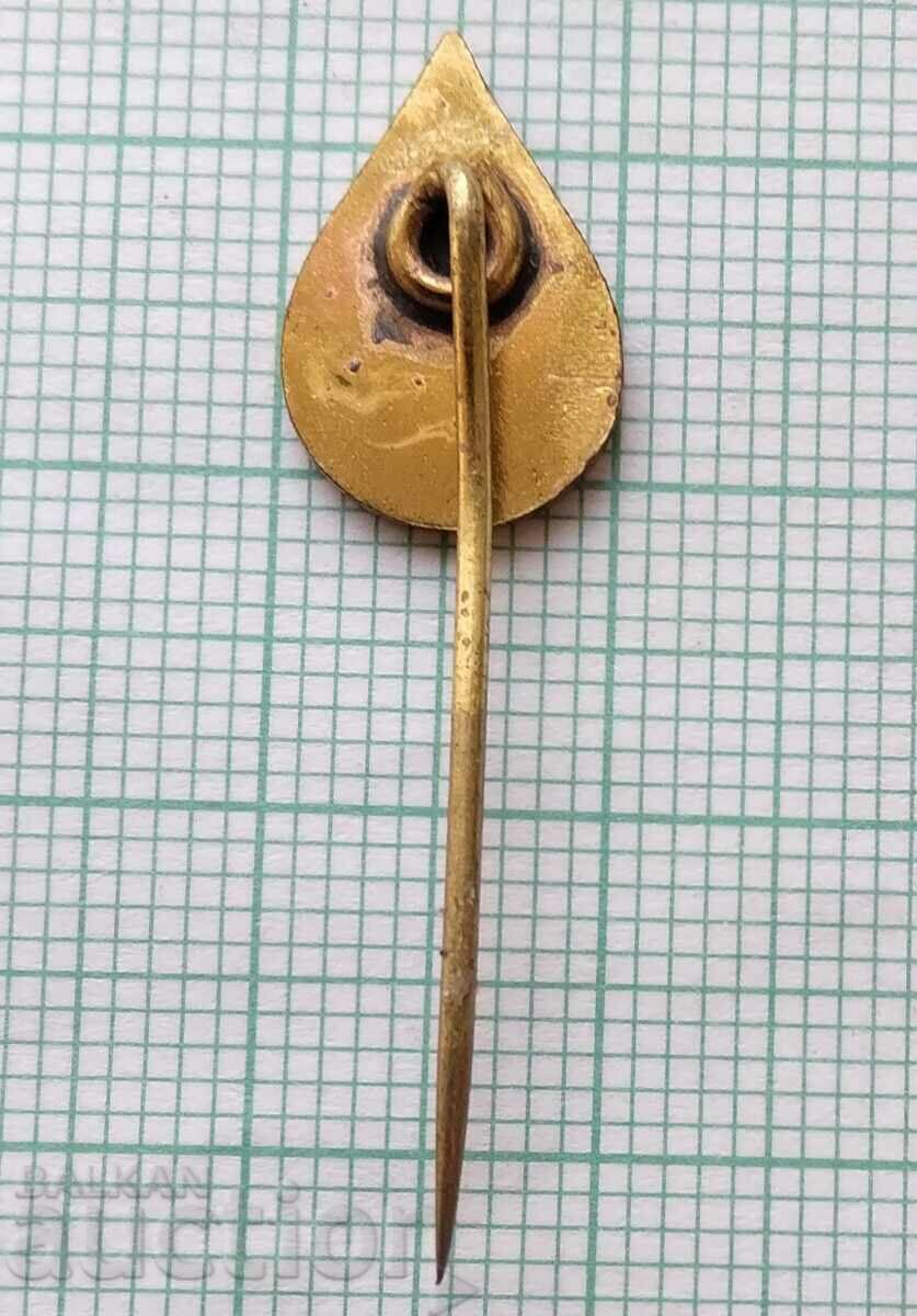 Delivery of 13759 Badge - Red Cross Delivery of 13759 Badge - Red Cross