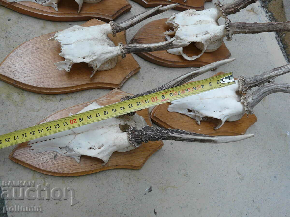 Auction Old German trophies - 6 pieces Auction Old German trophies - 6 pieces