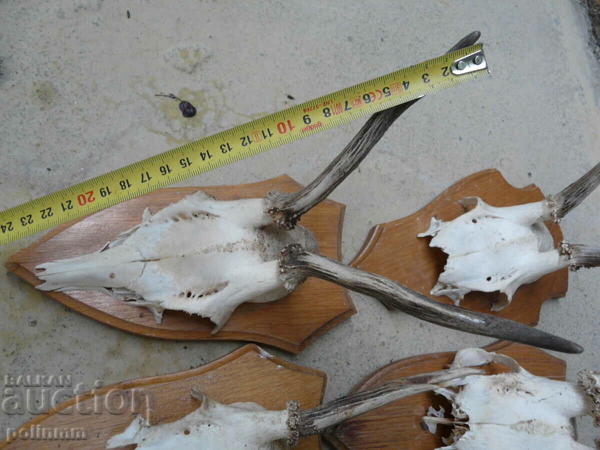 Old German trophies - 6 pieces - 5 Old German trophies - 6 pieces - 5