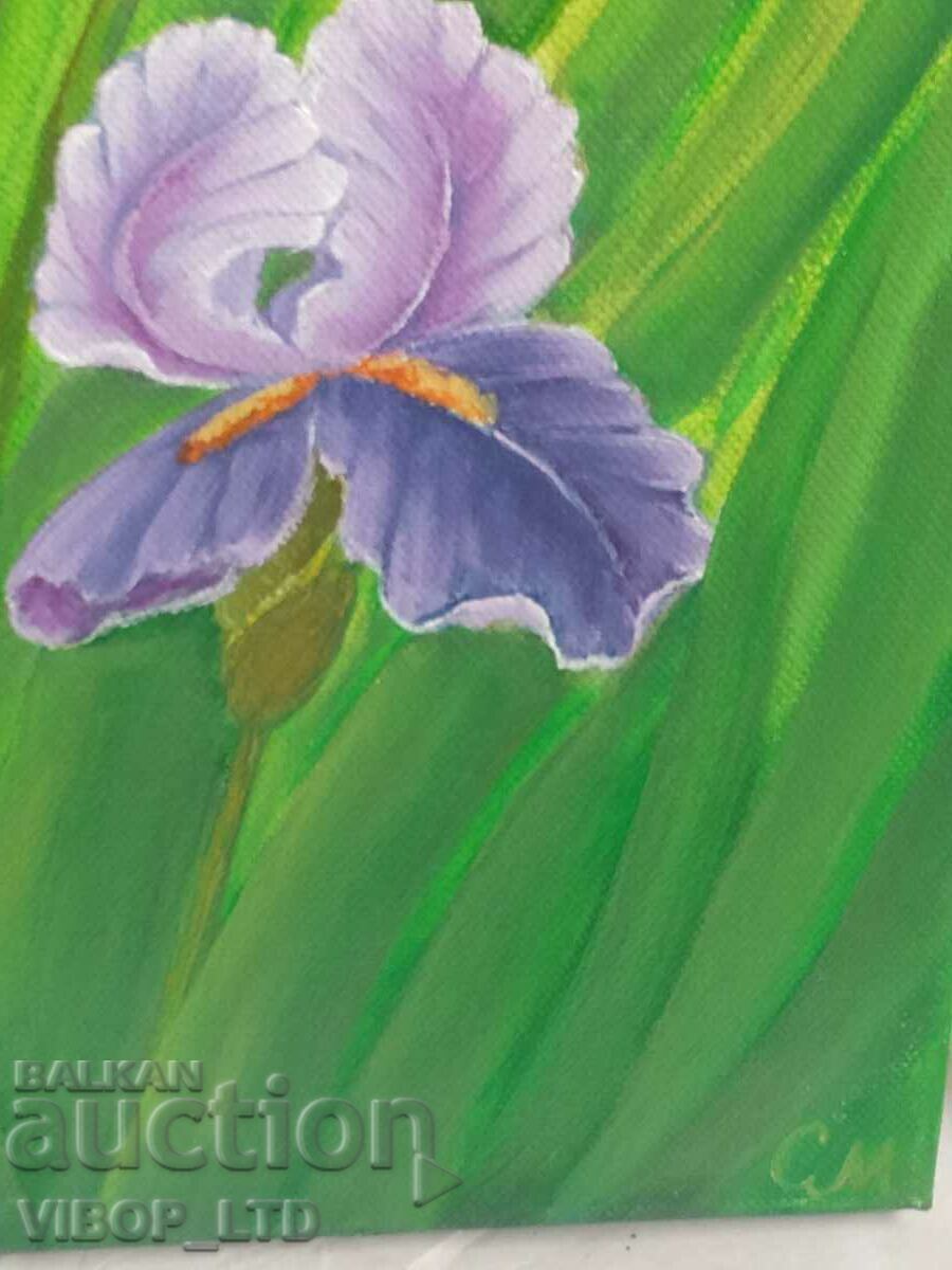 painter! IRISES IN THE GARDEN, author's painting with price € 46.00 | 89.97 BGN