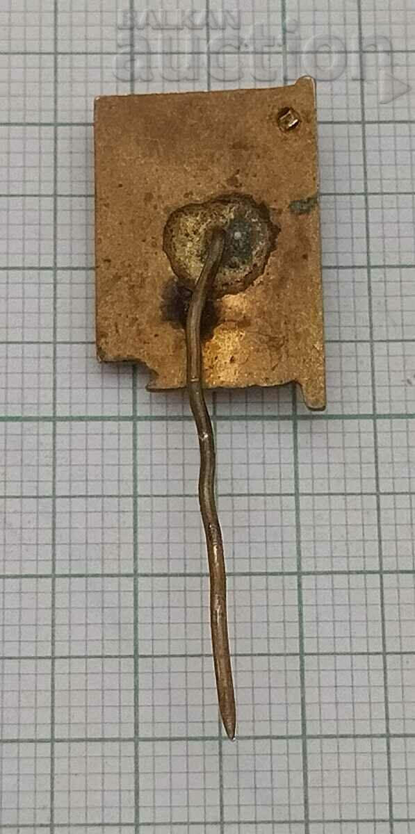 Auction VASIL LEVSKI APOSTOLA ENAMEL BADGE Auction VASIL LEVSKI APOSTOLA ENAMEL BADGE