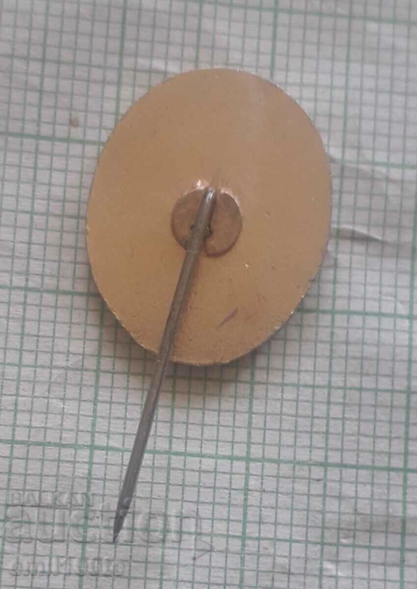 Delivery of Badge - Ivan Vazov Delivery of Badge - Ivan Vazov