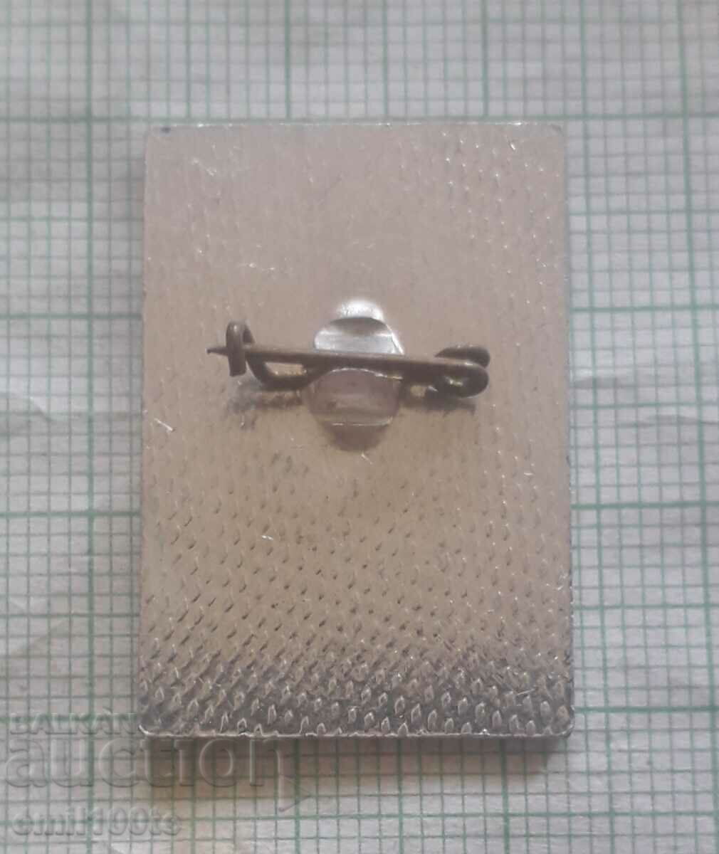 Delivery of Badge - Congress of psychologists FEPSAC FEPSAC Varna 1979 Delivery of Badge - Congress of psychologists FEPSAC FEPSAC Varna 1979