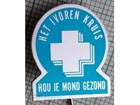 13774 Badge - Netherlands Cross