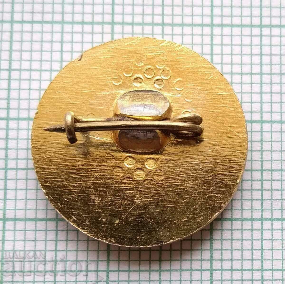 Auction 13782 Badge - 25th choir Rodina - Red Cross Auction 13782 Badge - 25th choir Rodina - Red Cross