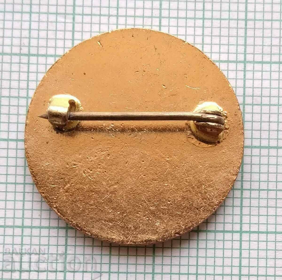 Delivery of 13785 Badge - Volunteer Sister Czechoslovakia - bronze enamel Delivery of 13785 Badge - Volunteer Sister Czechoslovakia - bronze enamel