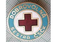 13785 Badge - Volunteer Sister Czechoslovakia - bronze enamel