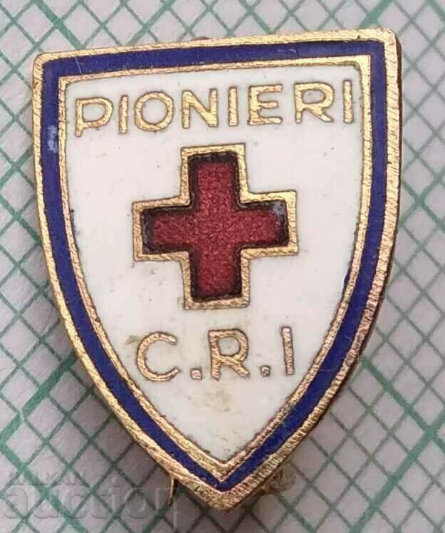 13790 Pioneers Red Cross Romania badge - bronze enamel