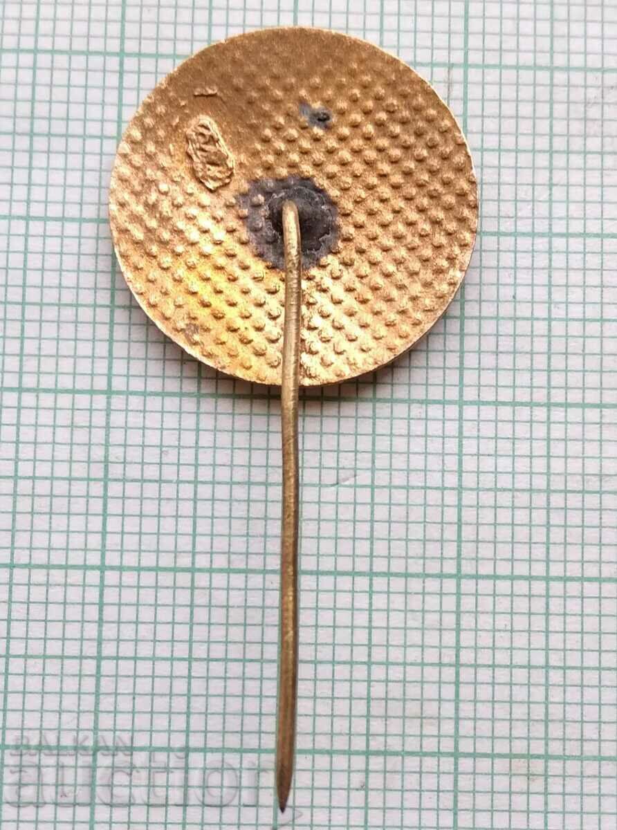 Delivery of 13793 - 20 years Workers' hospital Iskar station - bronze enamel Delivery of 13793 - 20 years Workers' hospital Iskar station - bronze enamel