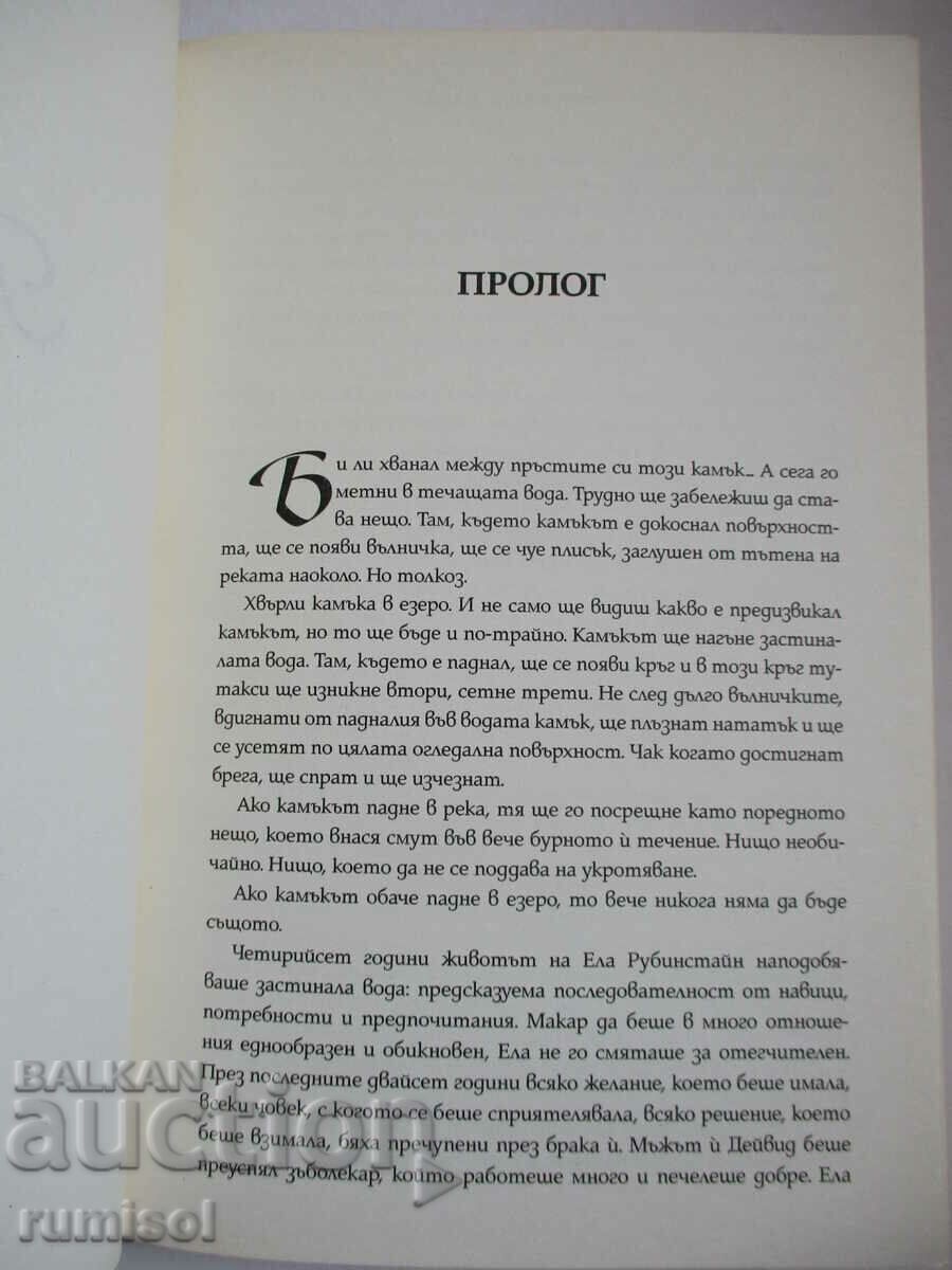 Любов  - Елиф Шафак с цена € 5.79 | 11.32 лв.