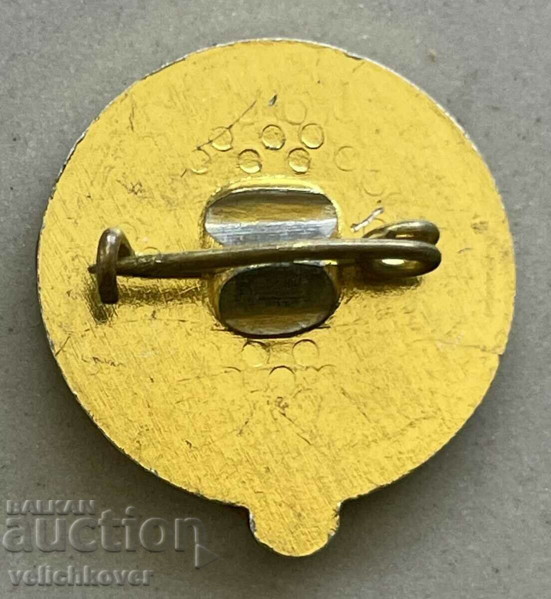 35263 Bulgaria parachute badge parachutist parachute 70s. with price 15.00 BGN | € 7.67 35263 Bulgaria parachute badge parachutist parachute 70s. with price 15.00 BGN | € 7.67