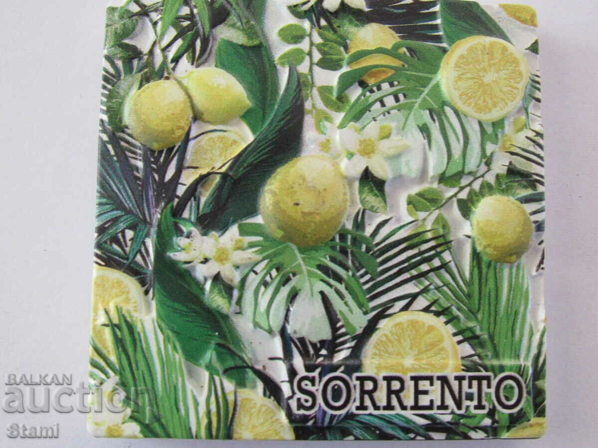 Licitație Magnet din Sorrento, Italia-11 Licitație Magnet din Sorrento, Italia-11