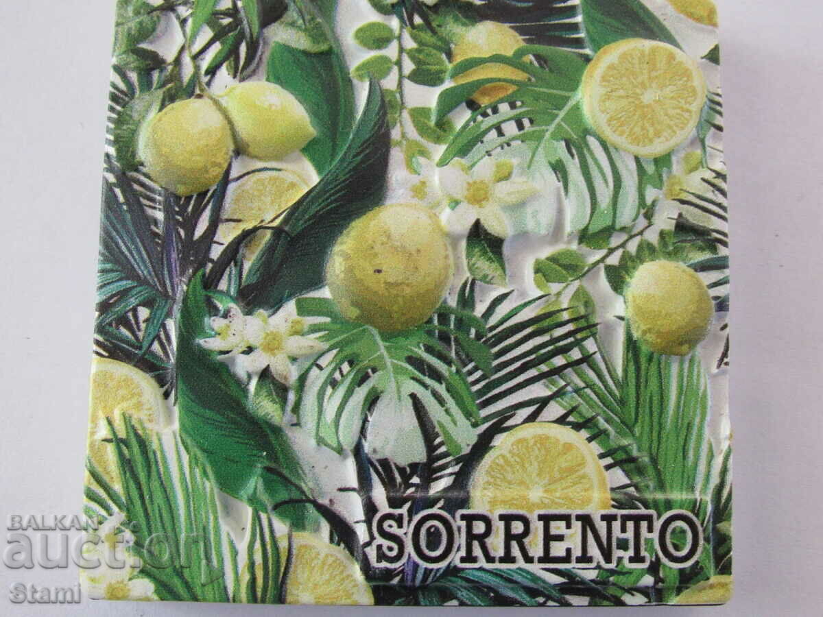Livrarea Magnet din Sorrento, Italia-11 Livrarea Magnet din Sorrento, Italia-11