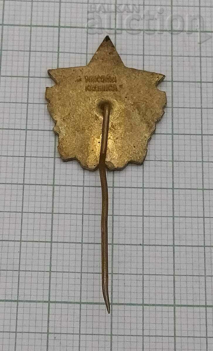 CZECHOSLOVAKIAN MILITARY BADGE EMAIL with price 5.00 BGN | € 2.56 CZECHOSLOVAKIAN MILITARY BADGE EMAIL with price 5.00 BGN | € 2.56