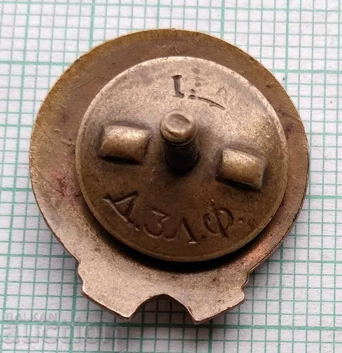 Delivery of 13848 Union of Bulgarian-Soviet countries - bronze enamel screw Delivery of 13848 Union of Bulgarian-Soviet countries - bronze enamel screw