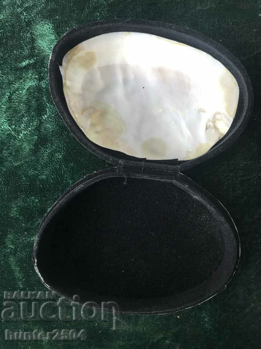 Box-mother-of-pearl shell-15/3 cm with price 29.95 BGN | € 15.31 Box-mother-of-pearl shell-15/3 cm with price 29.95 BGN | € 15.31