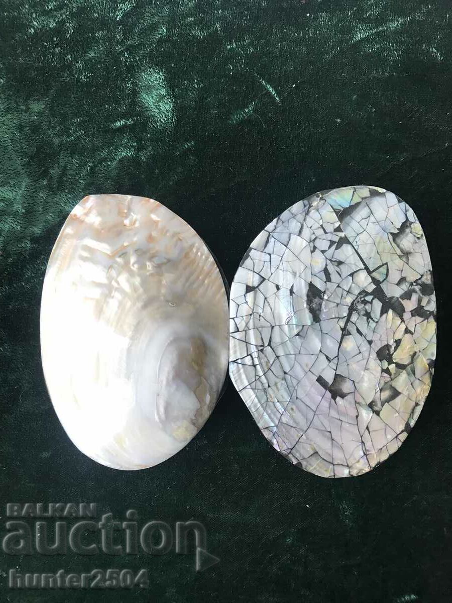 Auction Box-mother-of-pearl shell-15/3 cm Auction Box-mother-of-pearl shell-15/3 cm