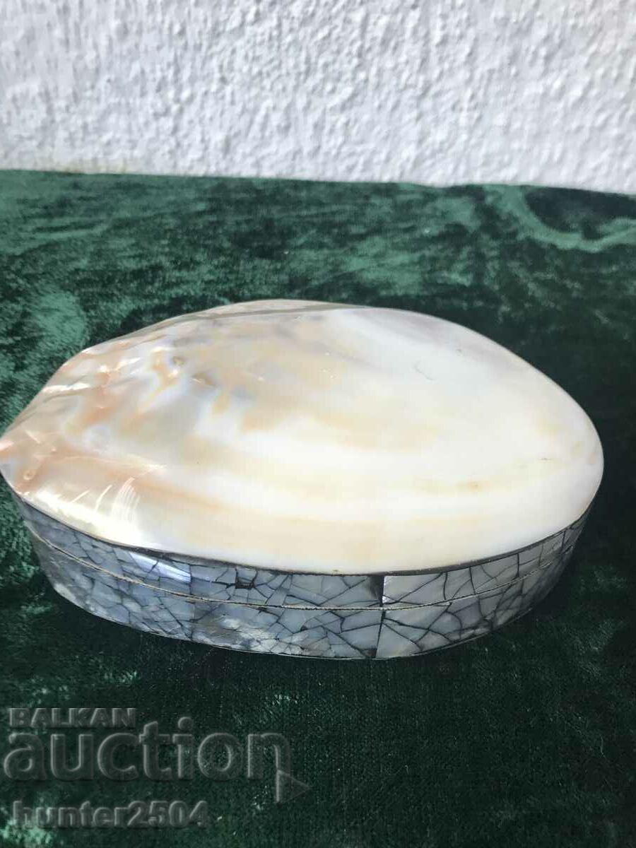 Box-mother-of-pearl shell-15/3 cm