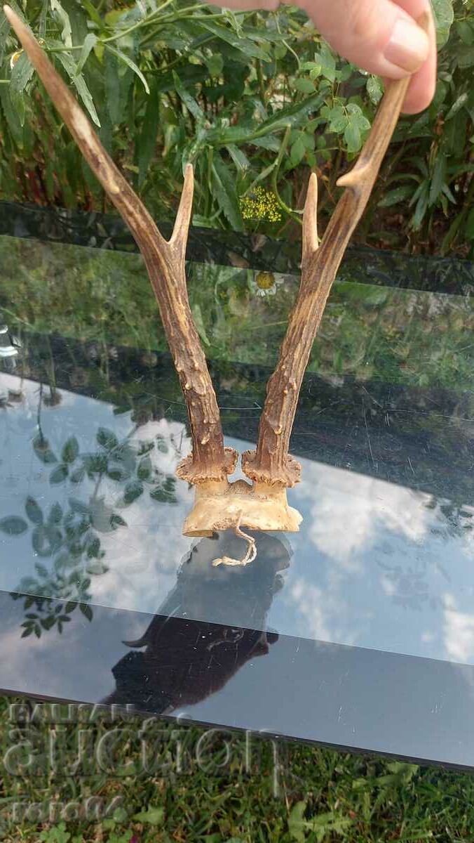 Livrarea trofeu Livrarea trofeu