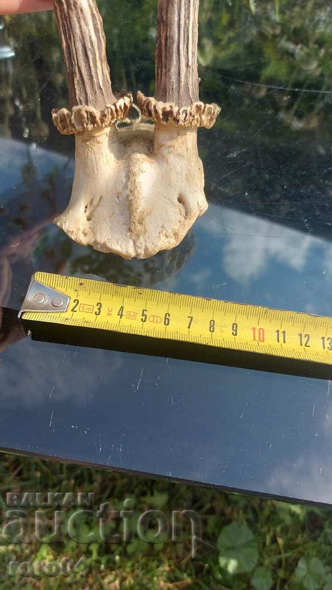 trofeu - 6 trofeu - 6