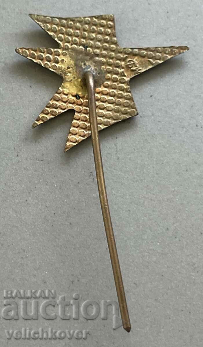 35302 Compania aeriană bulgară semnează e-mailul BGA Balkan cu preț 3.00 BGN | € 1.53