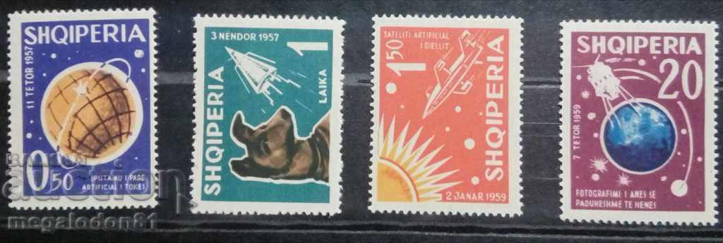 Albania - space, the dog Camomile