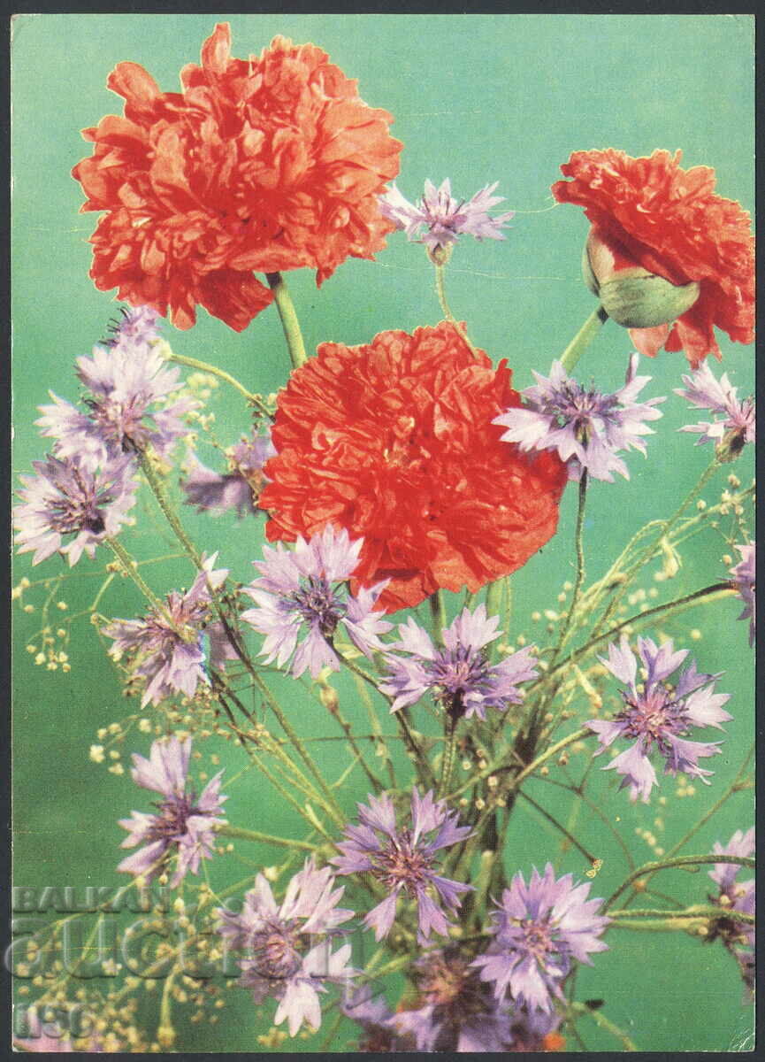 Русия/СССР - картичка 1975 - цветя