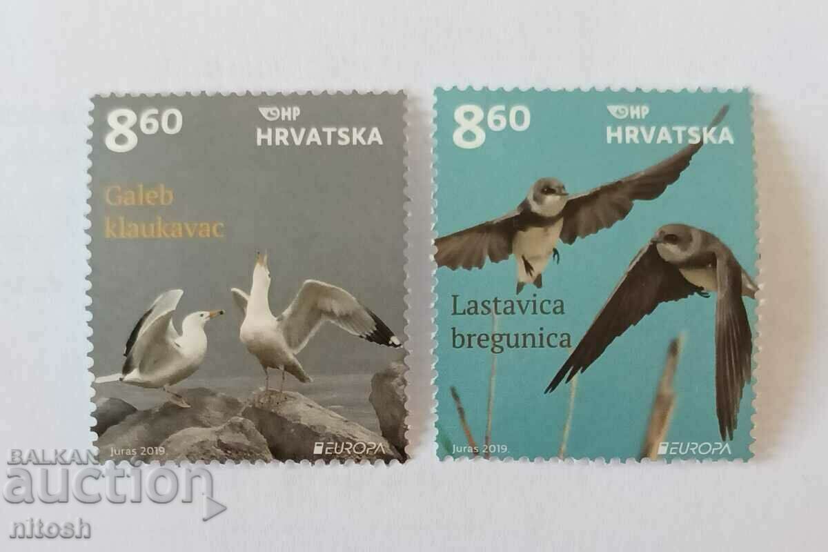 2019, Хърватия, Европа,птици