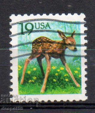 1991. USA. Animals - European roe deer.