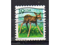 1991. USA. Animals - European roe deer.