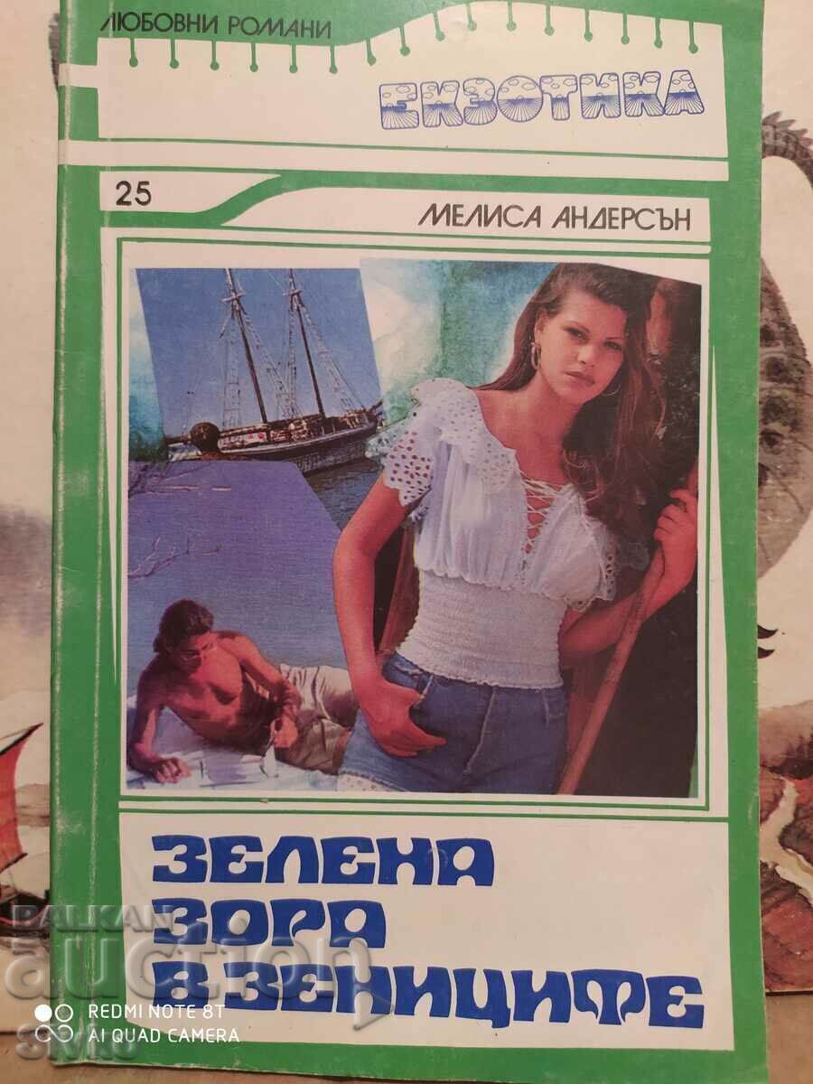 The Green Dawn in the Pupils, Melissa Anderson, First Edition