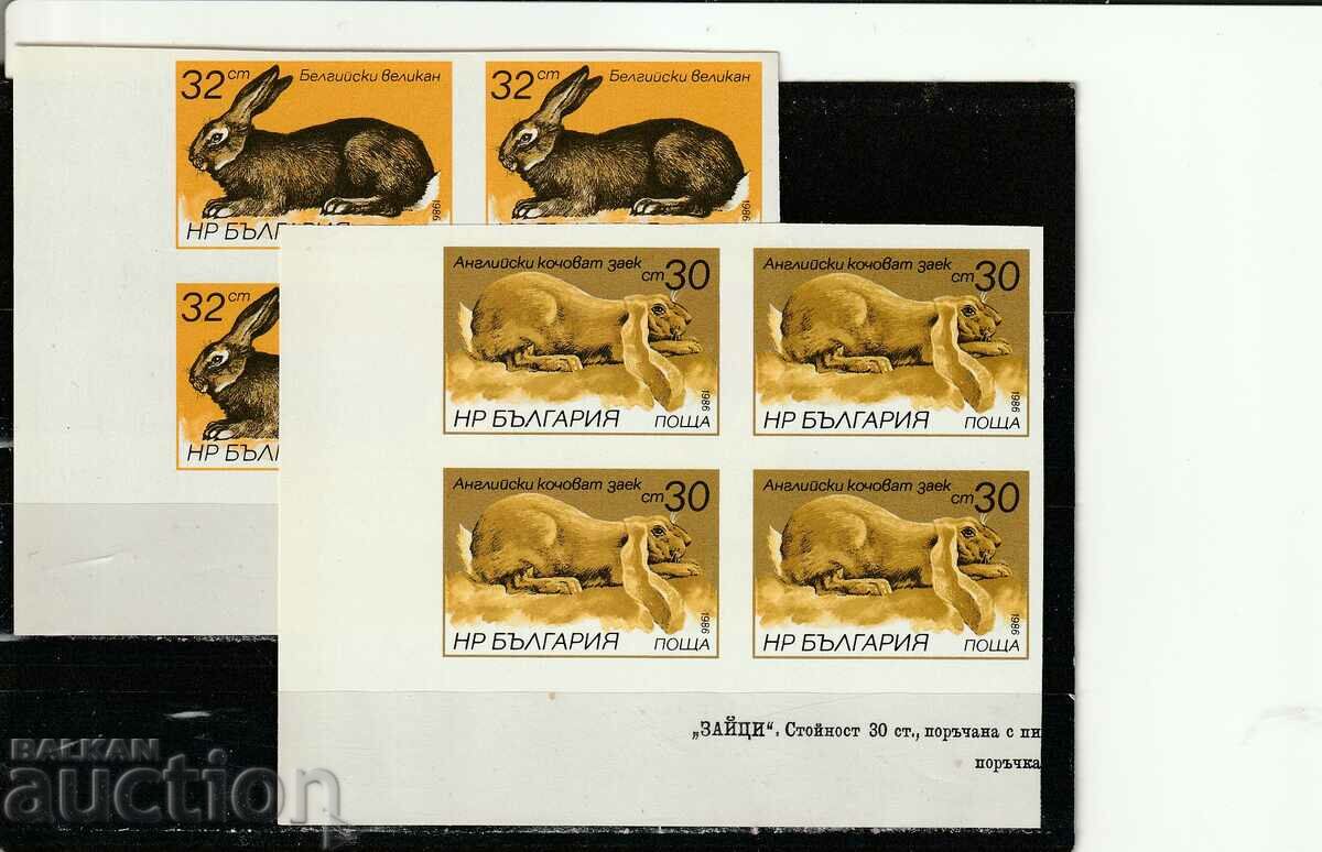 Bulgaria 1986 RABBITS BK№3488/93 A clean unnamed square with price 18.00 BGN | € 9.20 Bulgaria 1986 RABBITS BK№3488/93 A clean unnamed square with price 18.00 BGN | € 9.20