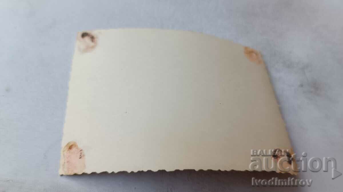 Photo Festive procession along the street with price 2.65 BGN | € 1.35 Photo Festive procession along the street with price 2.65 BGN | € 1.35