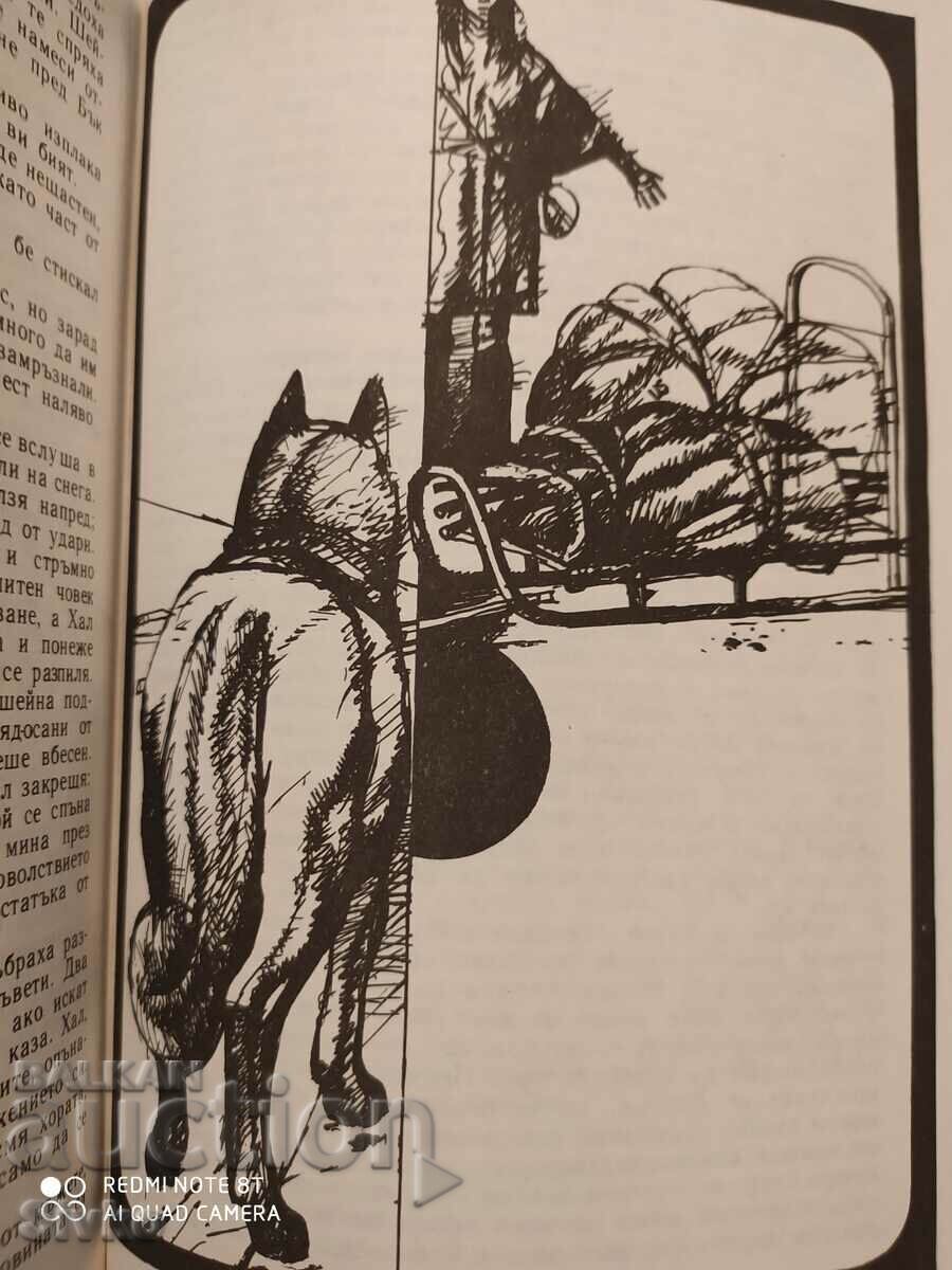 White Fang, The Call of the Wild, Jack London, prima ediție, multe ilusuri - 6 White Fang, The Call of the Wild, Jack London, prima ediție, multe ilusuri - 6