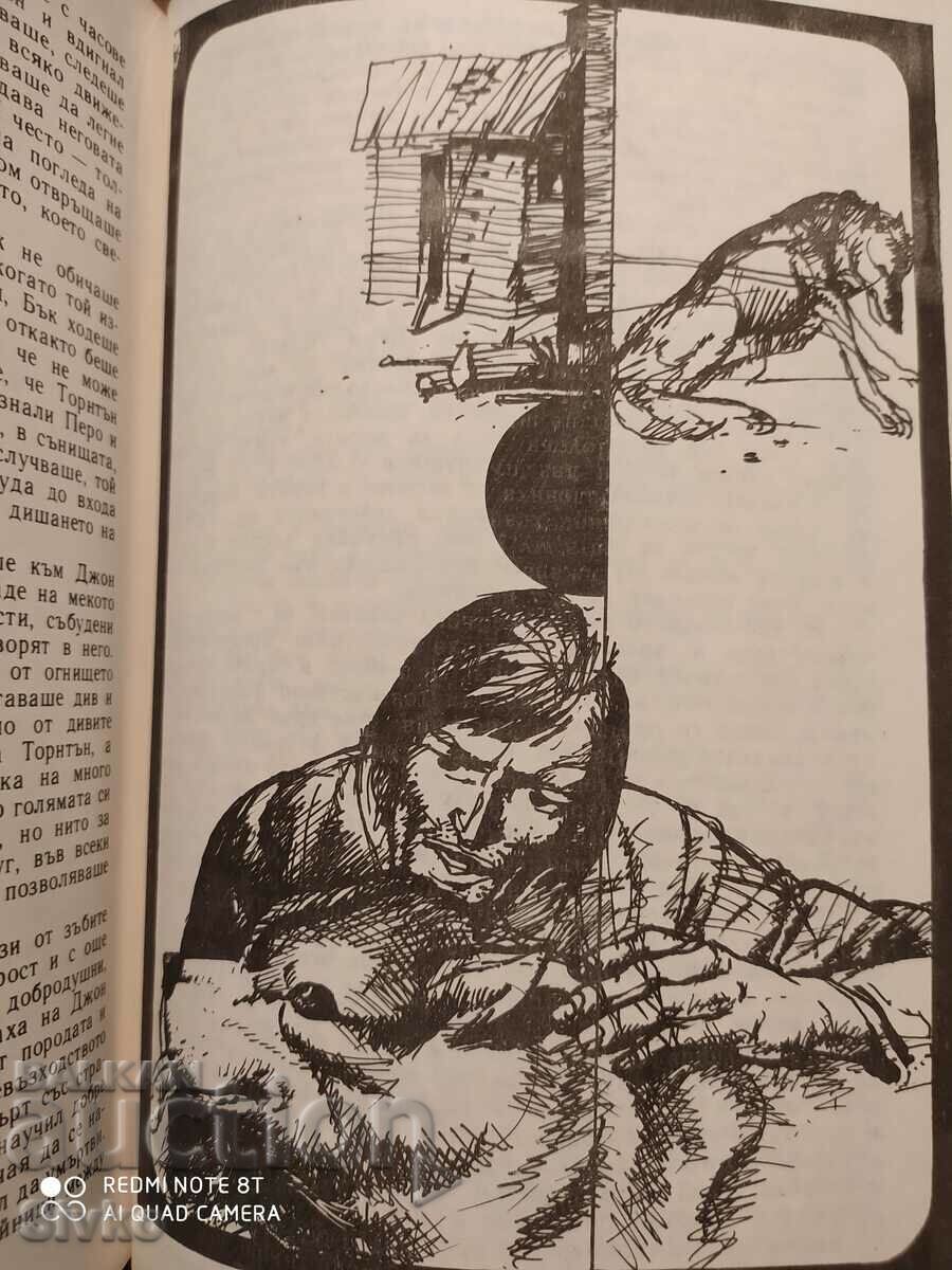White Fang, The Call of the Wild, Jack London, prima ediție, multe ilusuri - 7 White Fang, The Call of the Wild, Jack London, prima ediție, multe ilusuri - 7