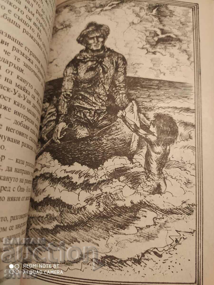 The White Silence, Jack London, First Edition, Illustrations - 6 The White Silence, Jack London, First Edition, Illustrations - 6