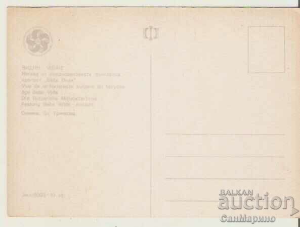 Map Bulgaria Vidin, "Baba Vida" Fortress 11 * with price 0.80 BGN | € 0.41 Map Bulgaria Vidin, "Baba Vida" Fortress 11 * with price 0.80 BGN | € 0.41