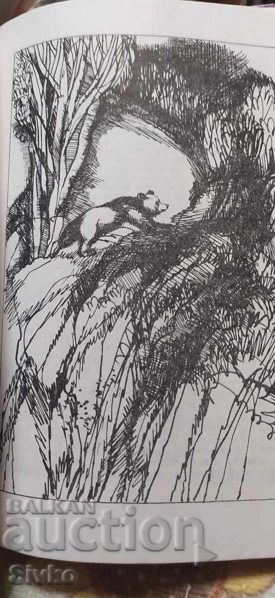 Auction The Valley of Silent Men, James Oliver Curwood, many illustrations Auction The Valley of Silent Men, James Oliver Curwood, many illustrations