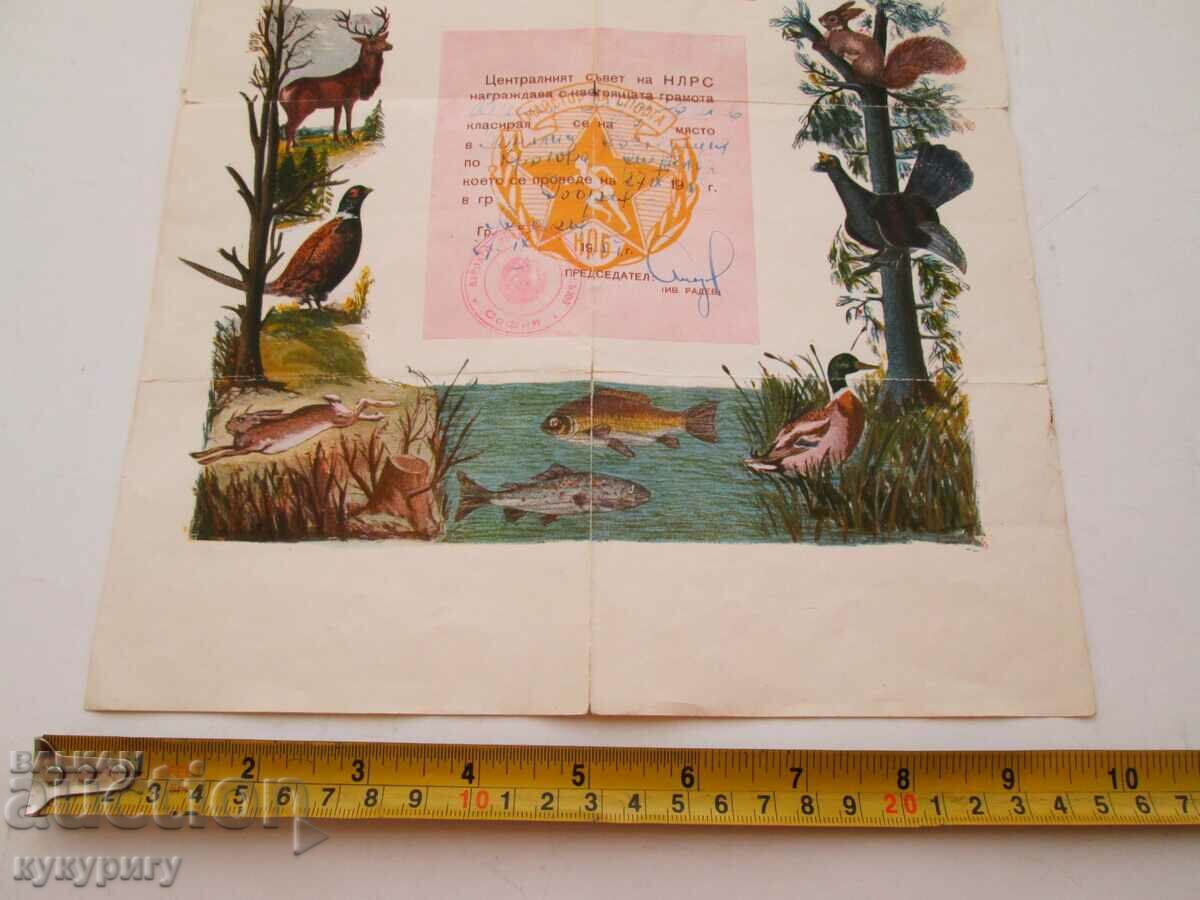 Delivery of Old hunting certificate Hunter - Master of Sports NLRS Delivery of Old hunting certificate Hunter - Master of Sports NLRS