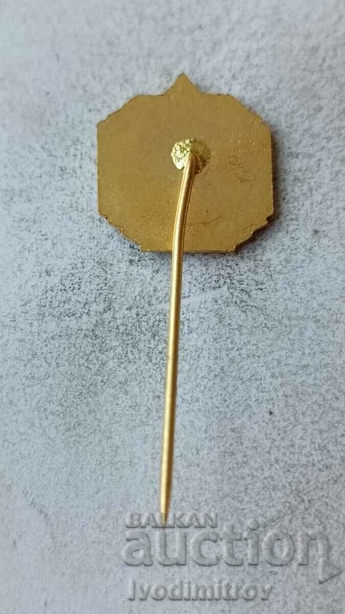 30 LET N V badge with price 4.35 BGN | € 2.22 30 LET N V badge with price 4.35 BGN | € 2.22