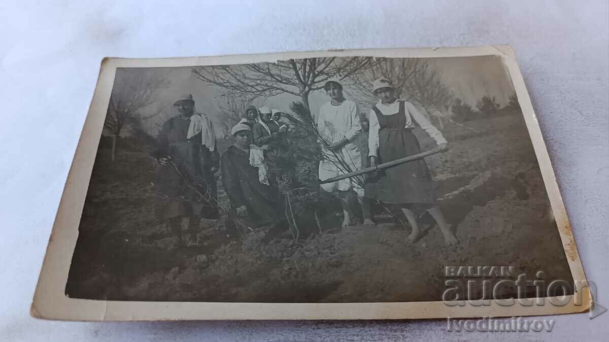 Снимка Пловдивъ Млади момичета в разсадника 1920