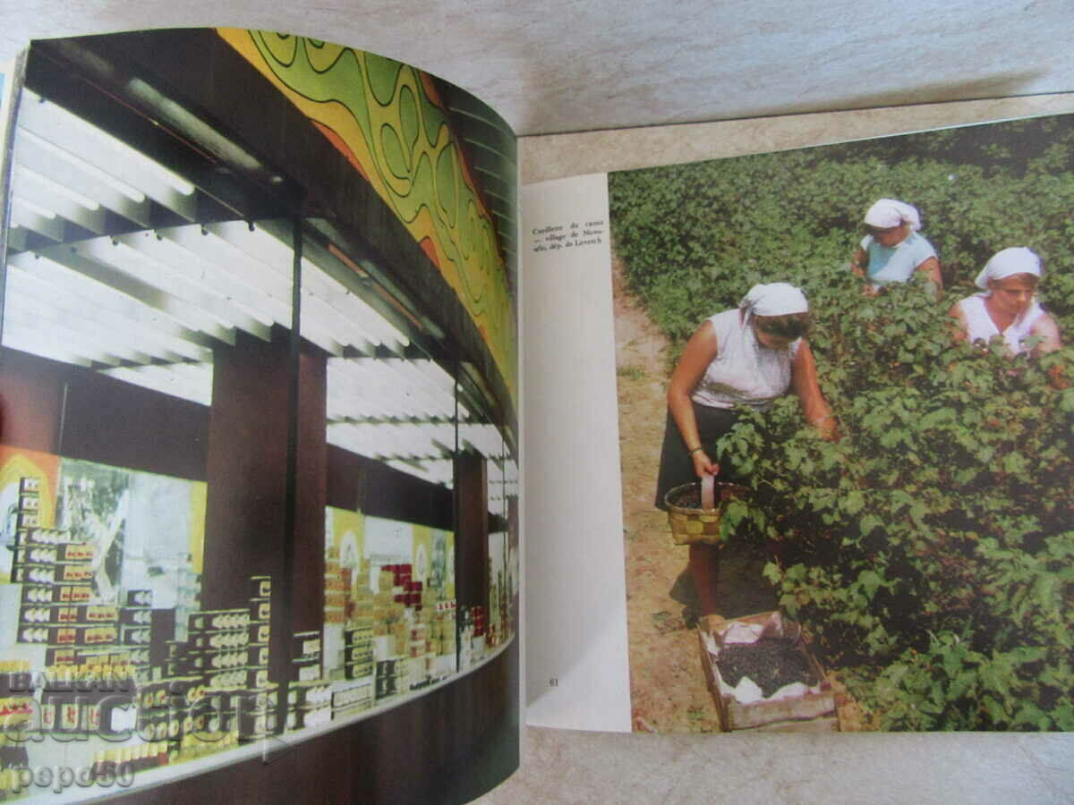 Δημοπρασία ΤΟ ΒΟΥΛΓΑΡΙΚΟ ΧΩΡΙΟ ΥΠΟ ΣΟΣΙΑΛΙΣΜΟ - Vulkan Shopov - 1972.