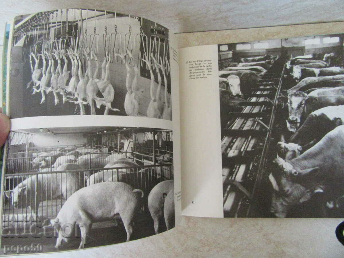 Παράδοση ΤΟ ΒΟΥΛΓΑΡΙΚΟ ΧΩΡΙΟ ΥΠΟ ΣΟΣΙΑΛΙΣΜΟ - Vulkan Shopov - 1972.