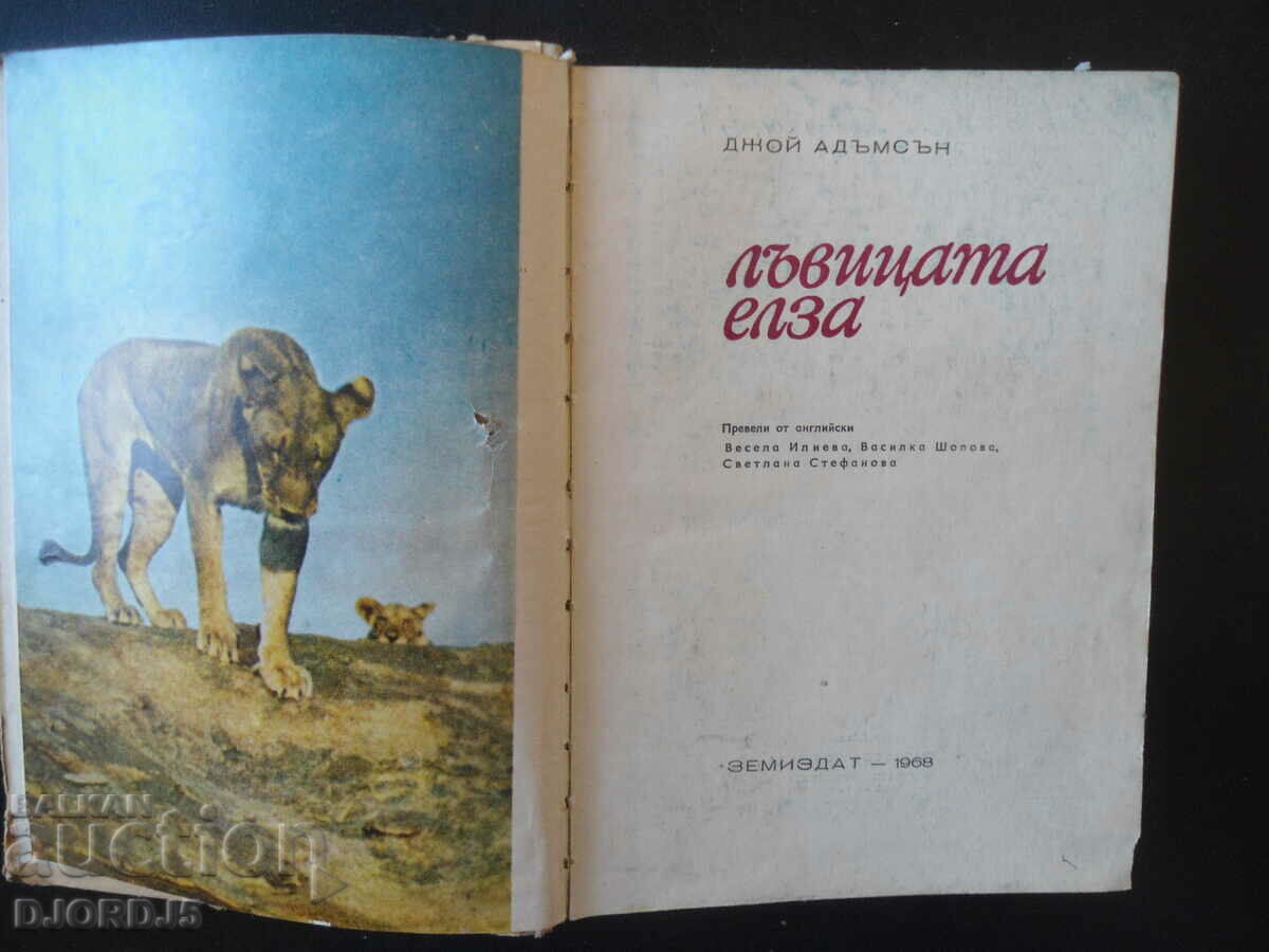 The lizard Elsa with price 1.00 BGN | € 0.51