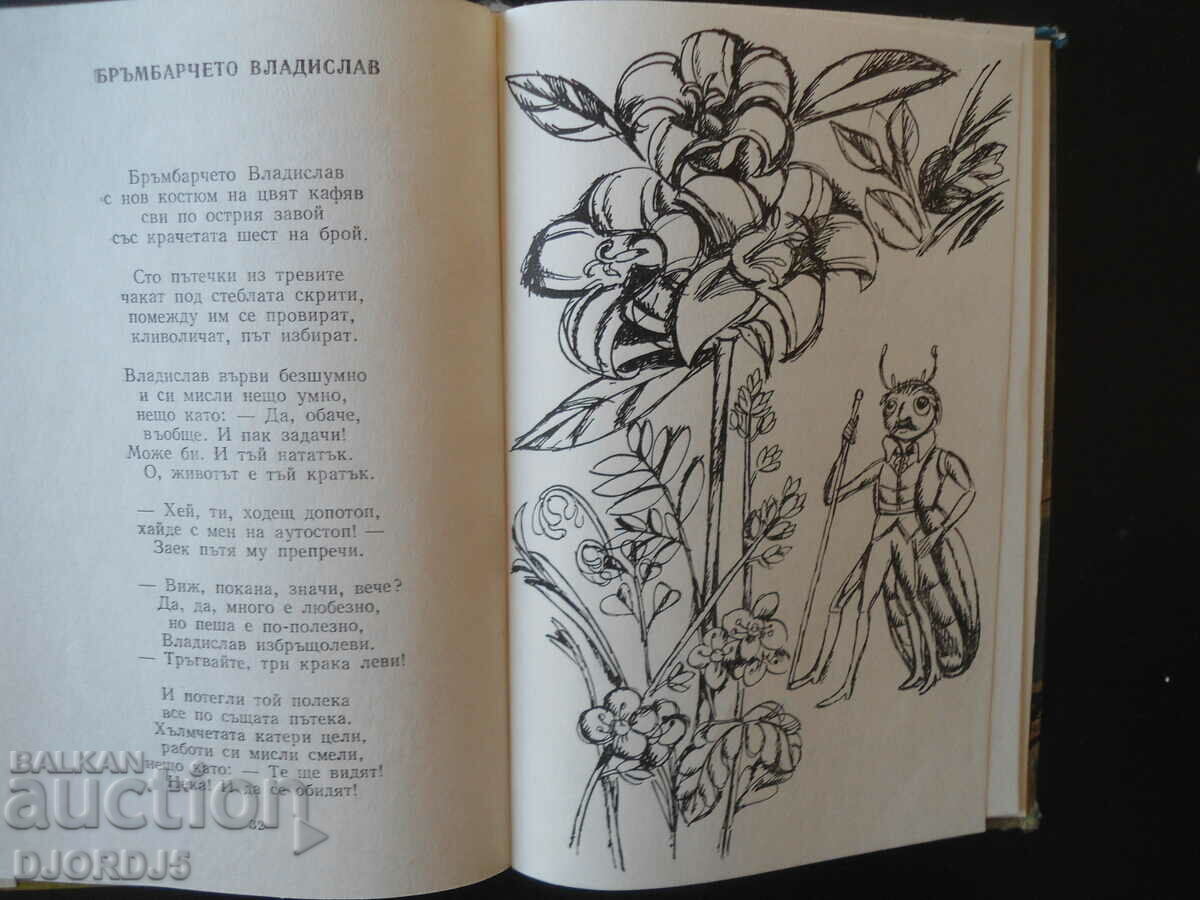 Tiger Spas with price 10.00 BGN | € 5.11 Tiger Spas with price 10.00 BGN | € 5.11