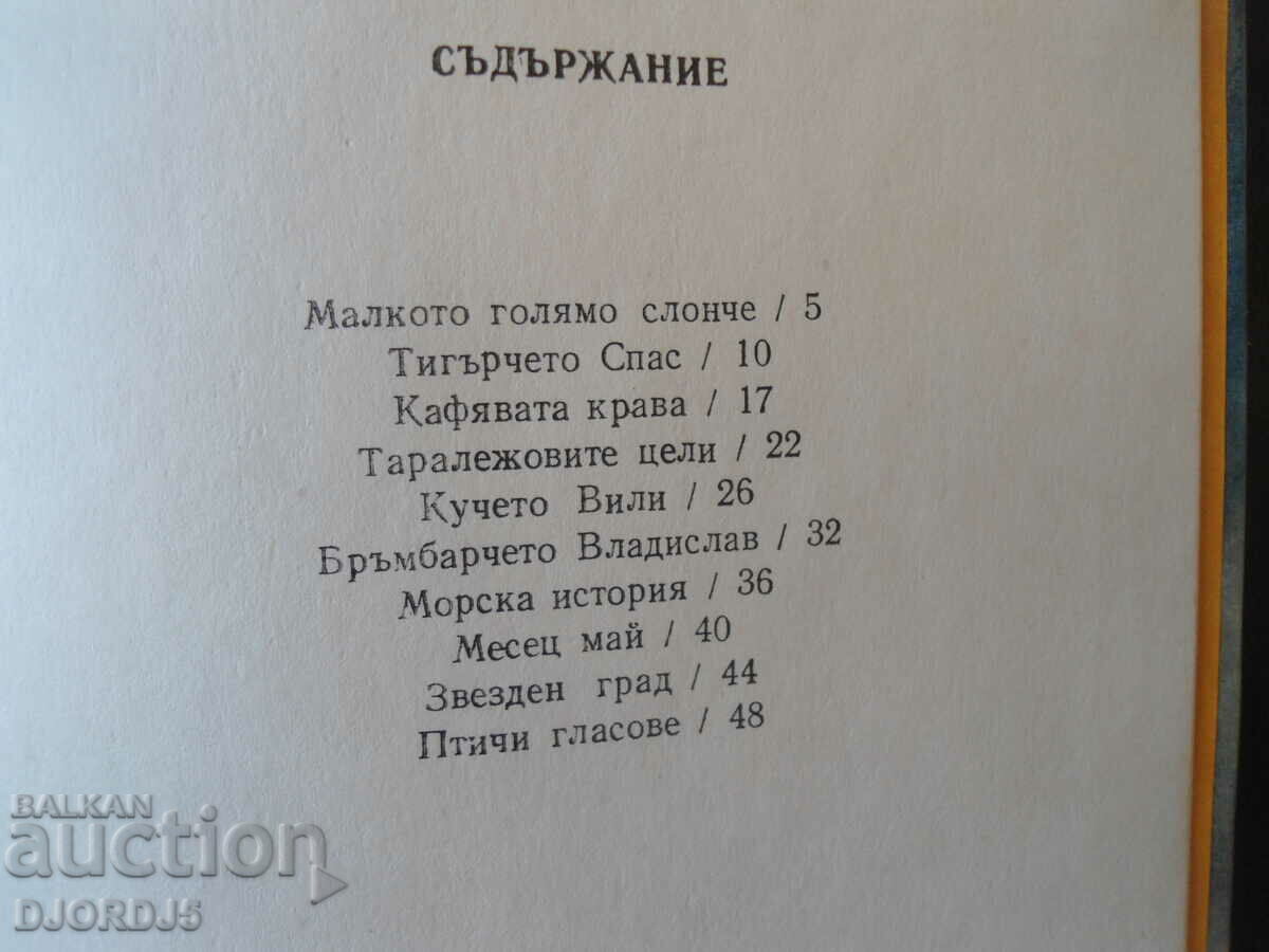 Auction Tiger Spas Auction Tiger Spas