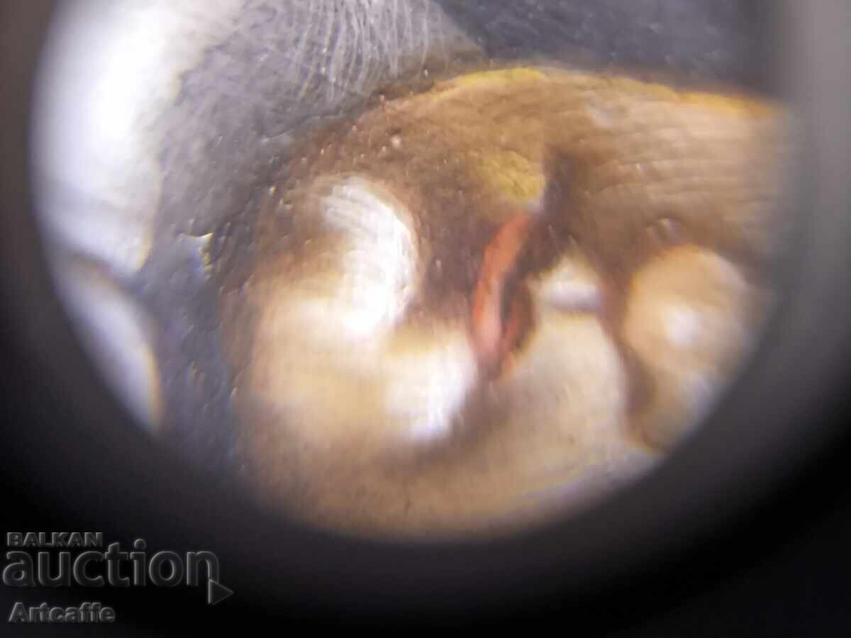 Livrarea Portretul lui Napoleon Bonaparte