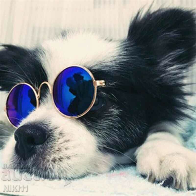 Sunglasses for cats and dogs with price 9.00 BGN | € 4.60 Sunglasses for cats and dogs with price 9.00 BGN | € 4.60