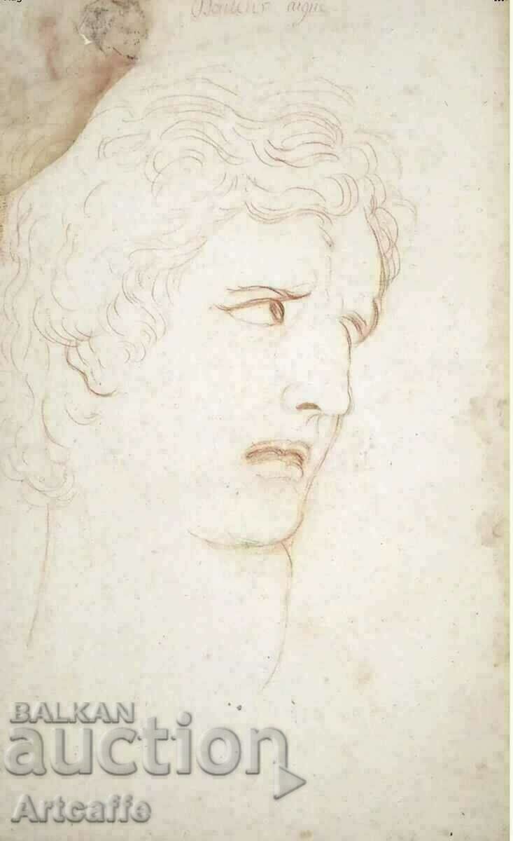 Licitație Schiță grafică Licitație Schiță grafică