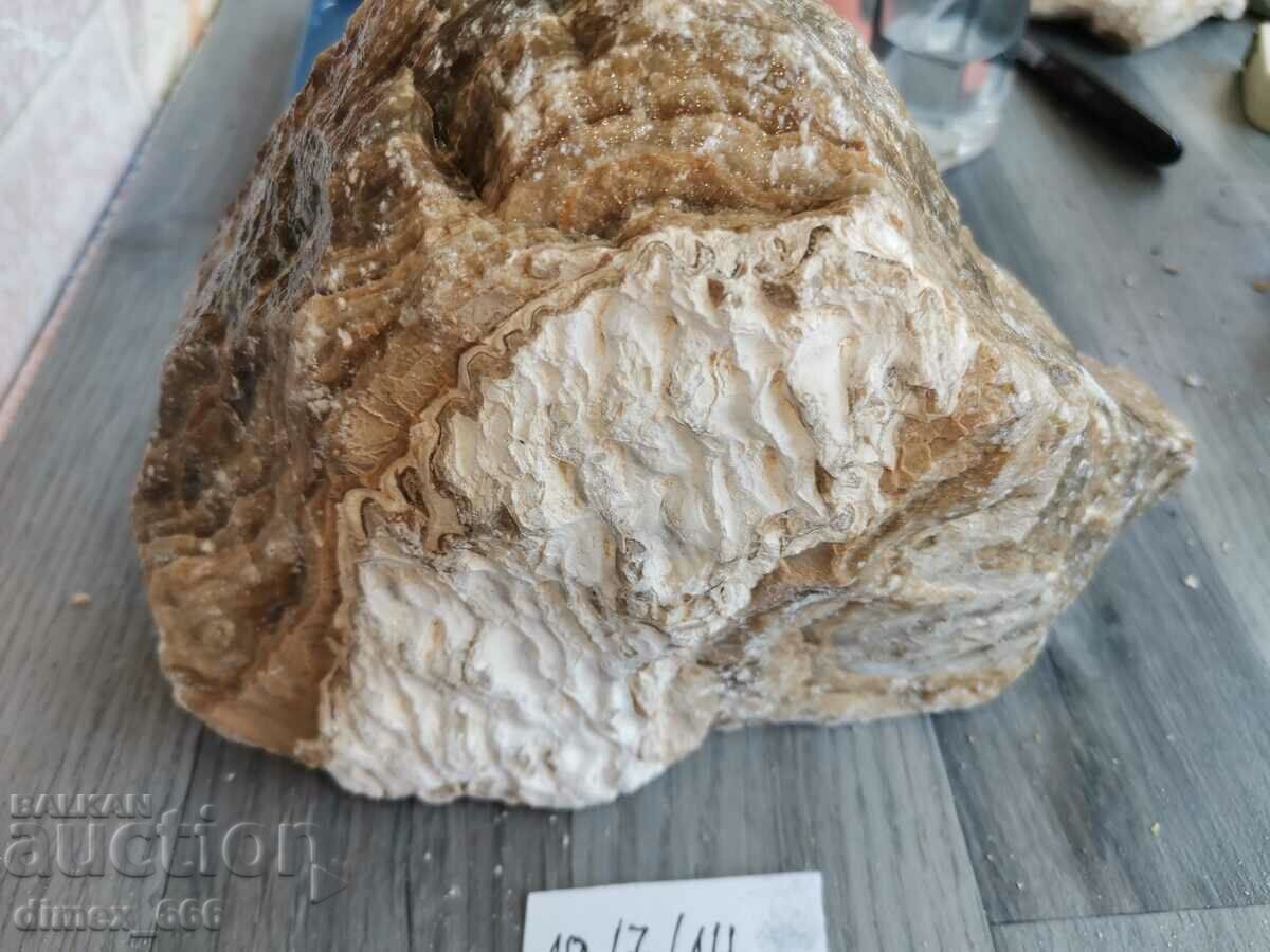 Marble Onyx, Calcite, Aragonite - 5